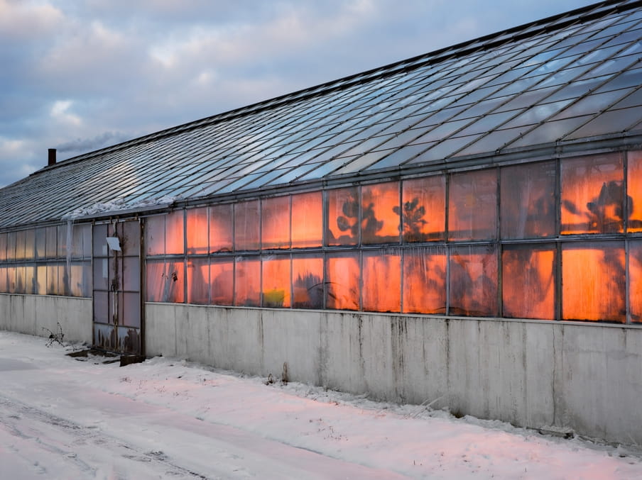 Geneva Greenhouses, New York State Agricultural Experiment Station, New York 2013. Foto: Lucas Foglia