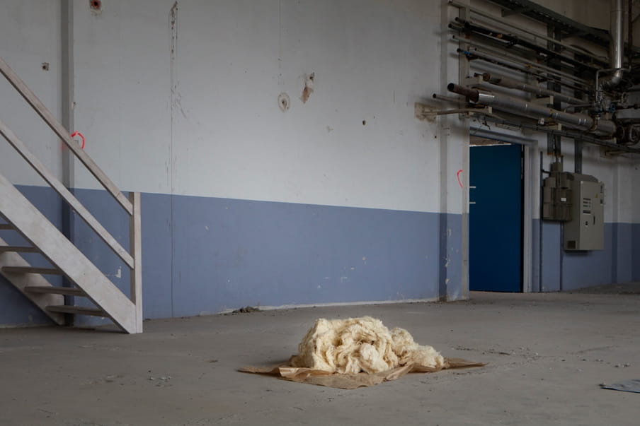 Hennepvezels uit de testinstallatie liggen te drogen in de droogruimte. Foto: Anoek Steketee (voor De Correspondent)