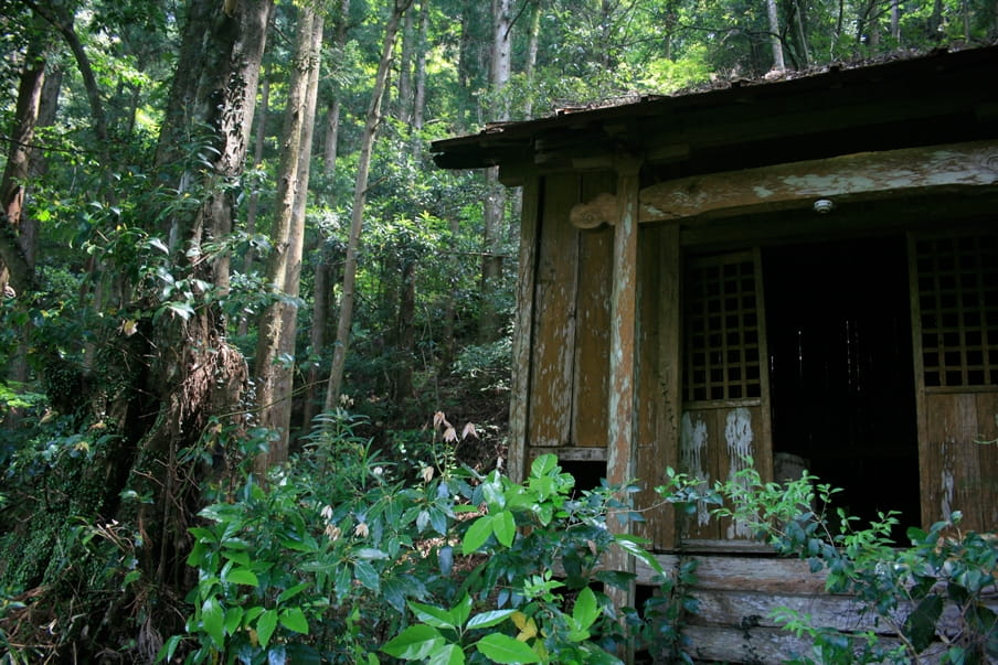 Het hutje is op Shikoku, in de Iya-vallei. Foto: Auke Hulst