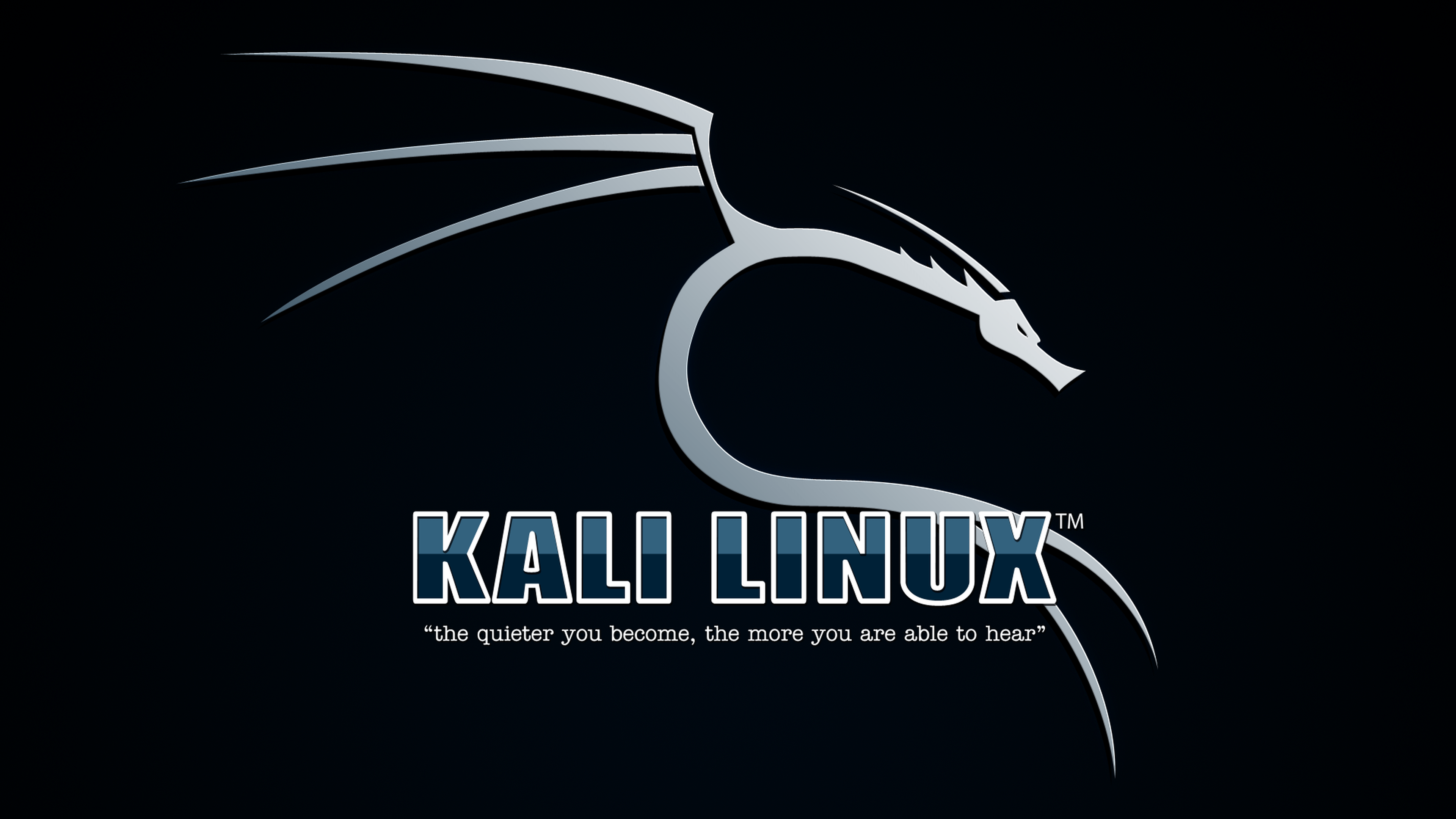 Kali linux. Kali Linux 2021.2. Кали линукс 2022.2. Kali Linux 2021.3. Kali Linux 2019.3.