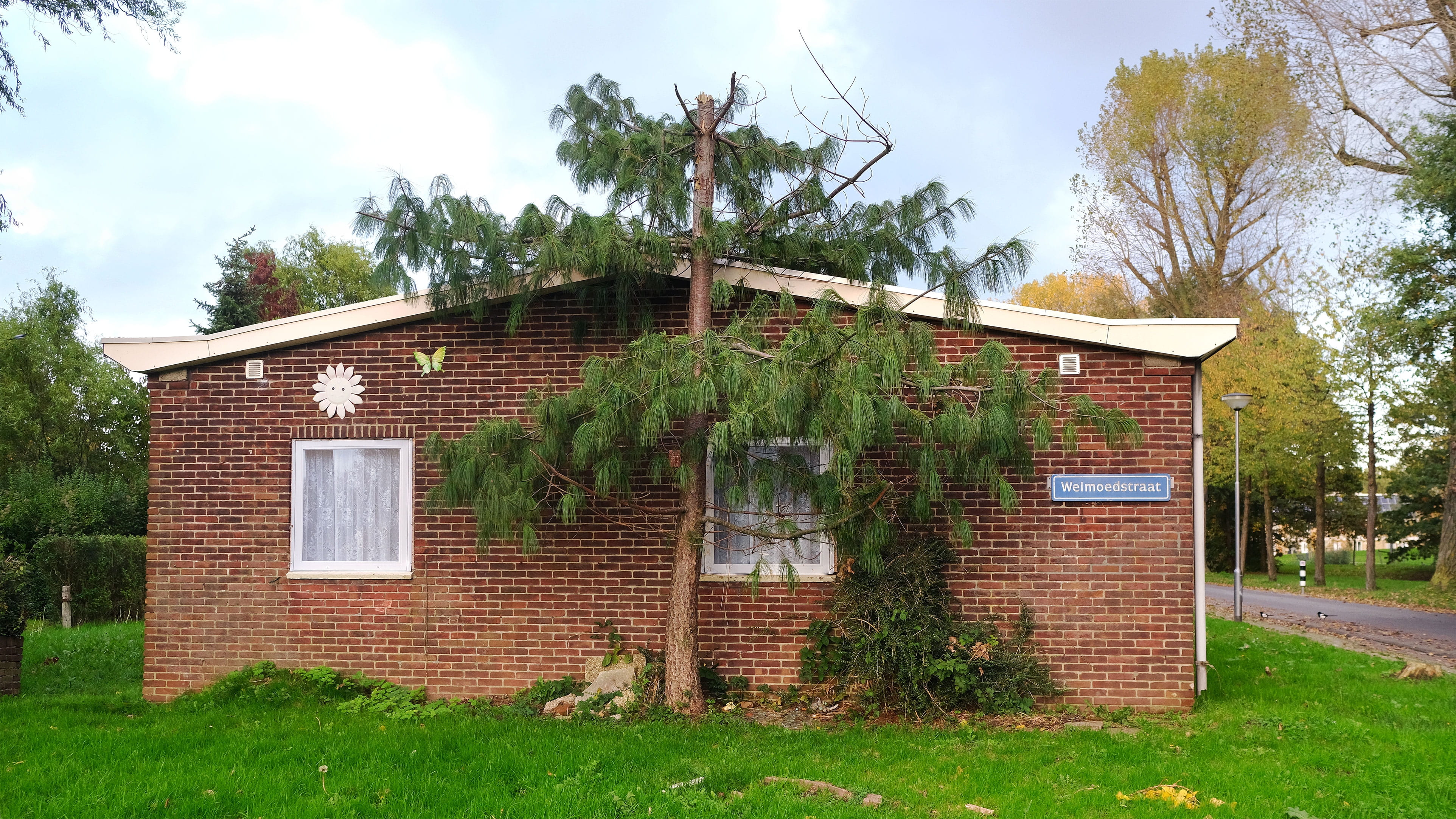 Zijaanzicht noodwoning Wielewaal