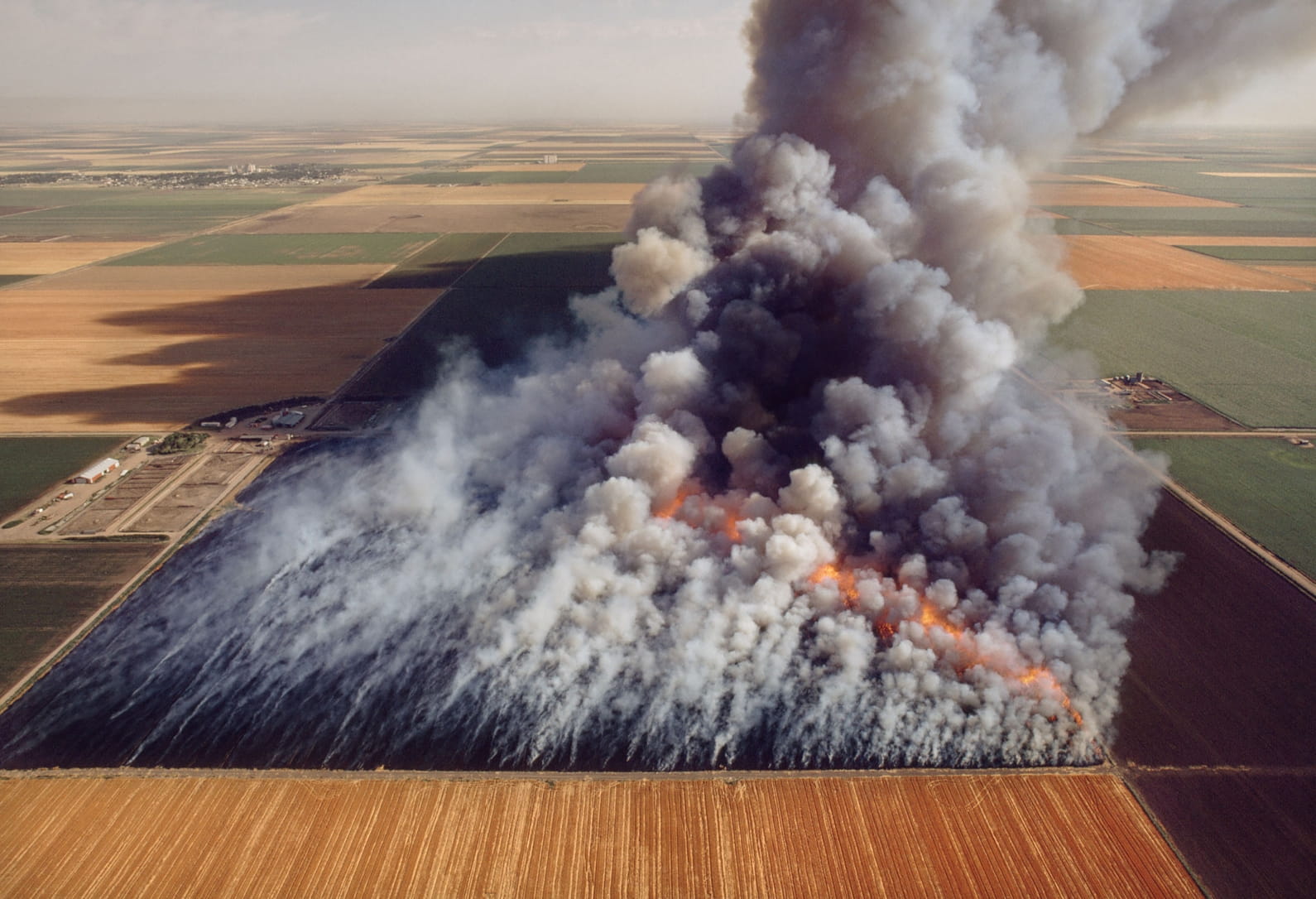 Kan intensieve landbouw de natuur redden? Een reactie op jullie vragen - De  Correspondent