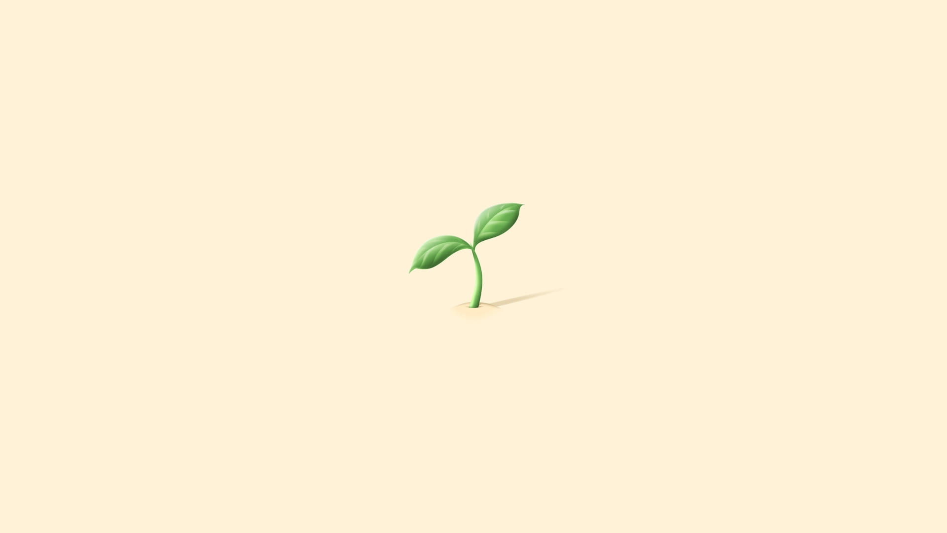 Illustratie van een plantje dat net begint te groeien