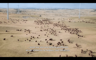 Gnoe's die tussen windmolens grazen op de Serengeti