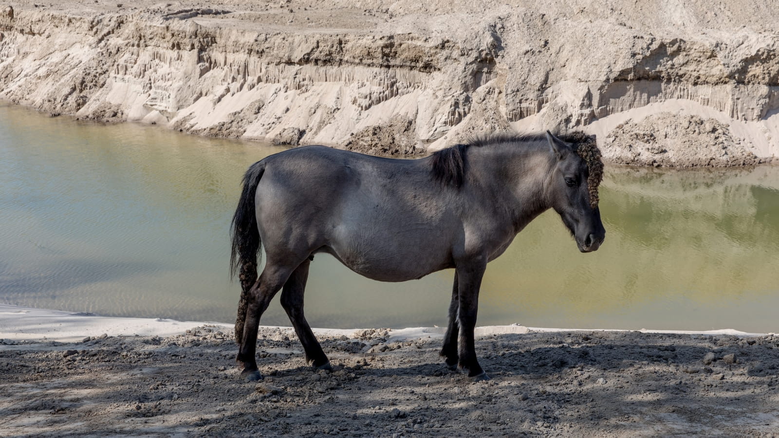 Zand is het fundament van onze steden, maar de winning ervan verwoest