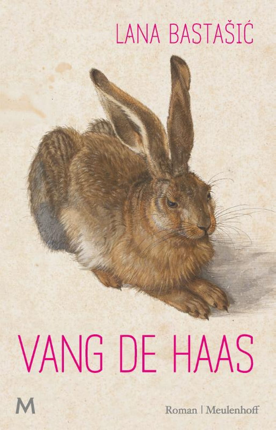 Afbeelding van de cover van het boek Vang de haas 