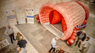 Foto van de beschreven opblaas prostaat, in het auditorium van een ziekenhuis. Bij de reuzenprostaat staan een aantal van de vrijwilligers van Think Blue die in gesprek zijn met voorbijgangers. De reuzenprostaat is zo'n 3 meter hoog, 4 meter breed en 6 meter diep.