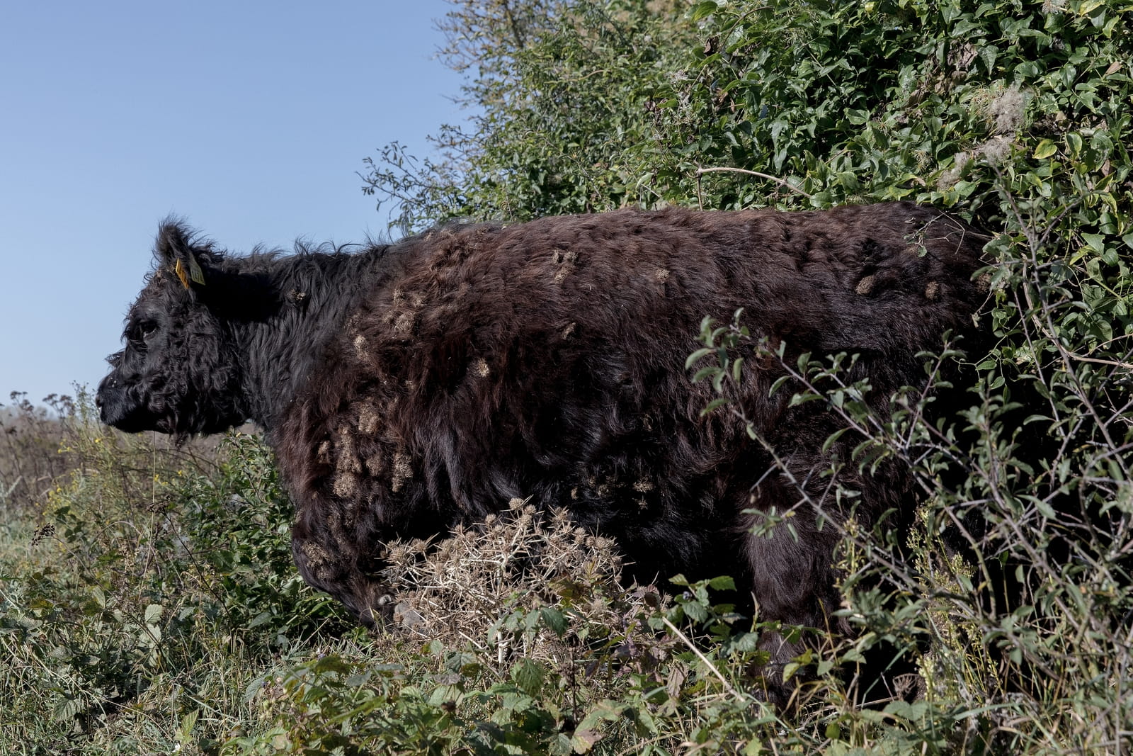 Zand is het fundament van onze steden, maar de winning ervan verwoest