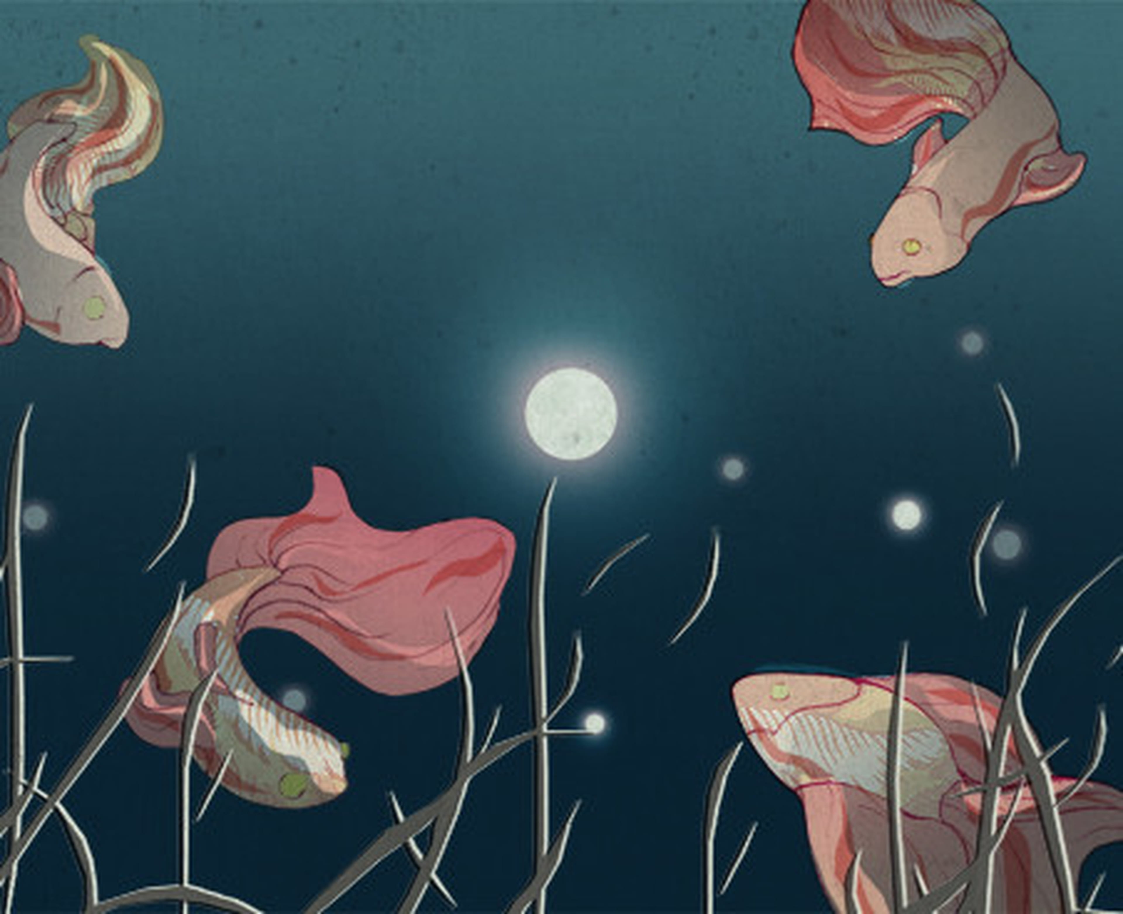 De roman Een klein leven is te mooi om waar te zijn, maar ook te lelijk