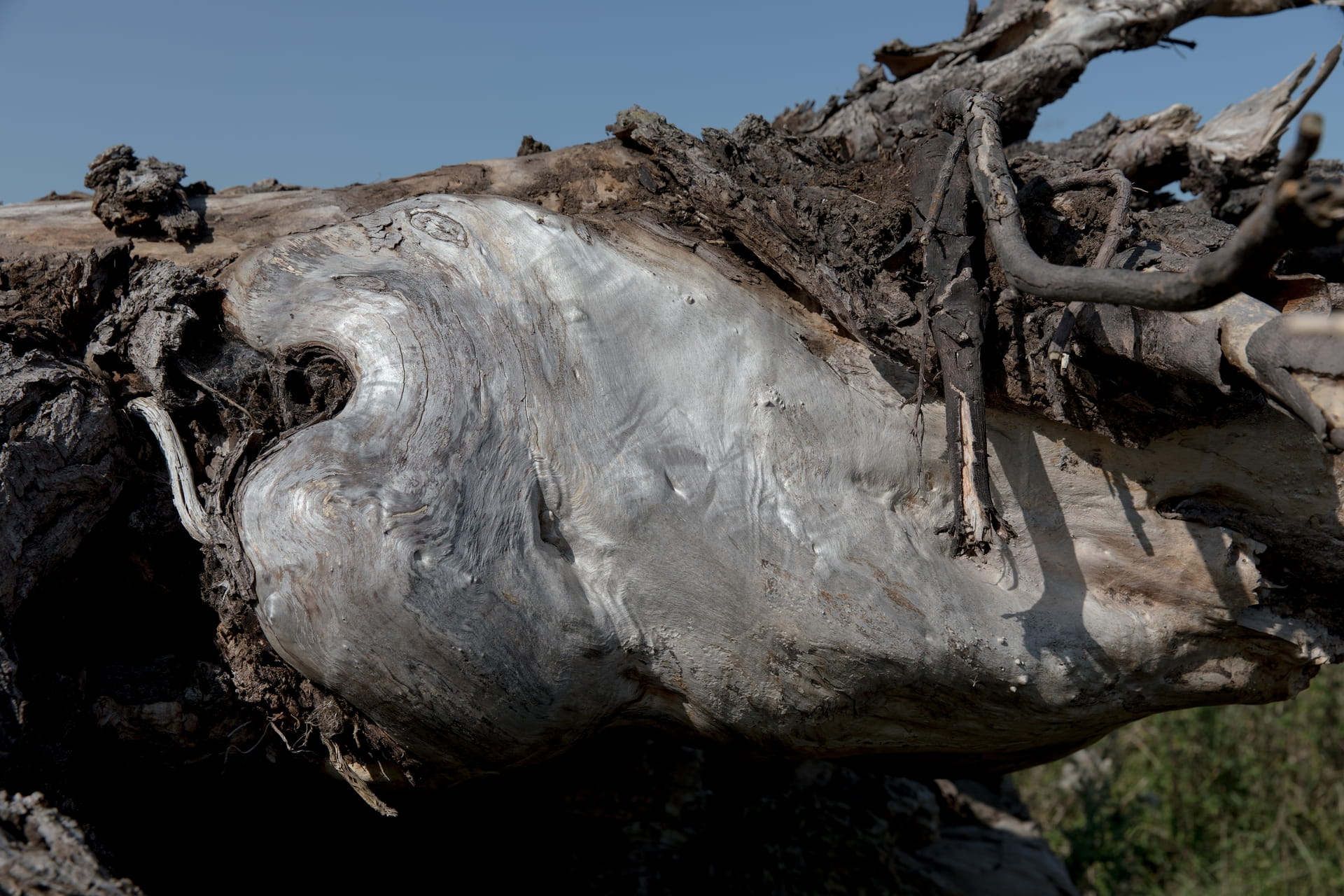 Zand is het fundament van onze steden, maar de winning ervan verwoest