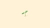 Illustratie van een plantje dat net begint te groeien