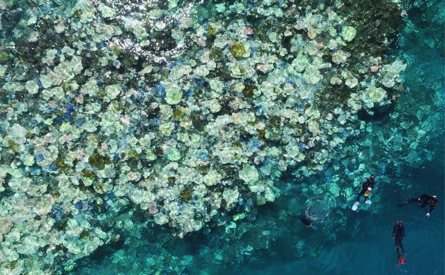 Japans grootste koraalrif, Sekiseishoko, is ook verbleekt door hoge zeetemperaturen. Foto: Getty Images