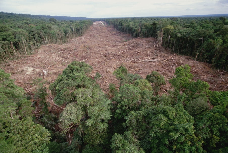 Gekapt tropisch regenwoud ten zuiden van het Kutubumeer in Papoea-Nieuw-Guinea heeft plaatsgemaakt voor het kamp van Gobe Oil. Foto: Gerry Ellis / Minden Pictures / Getty Images