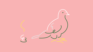 Illustratie van een duif