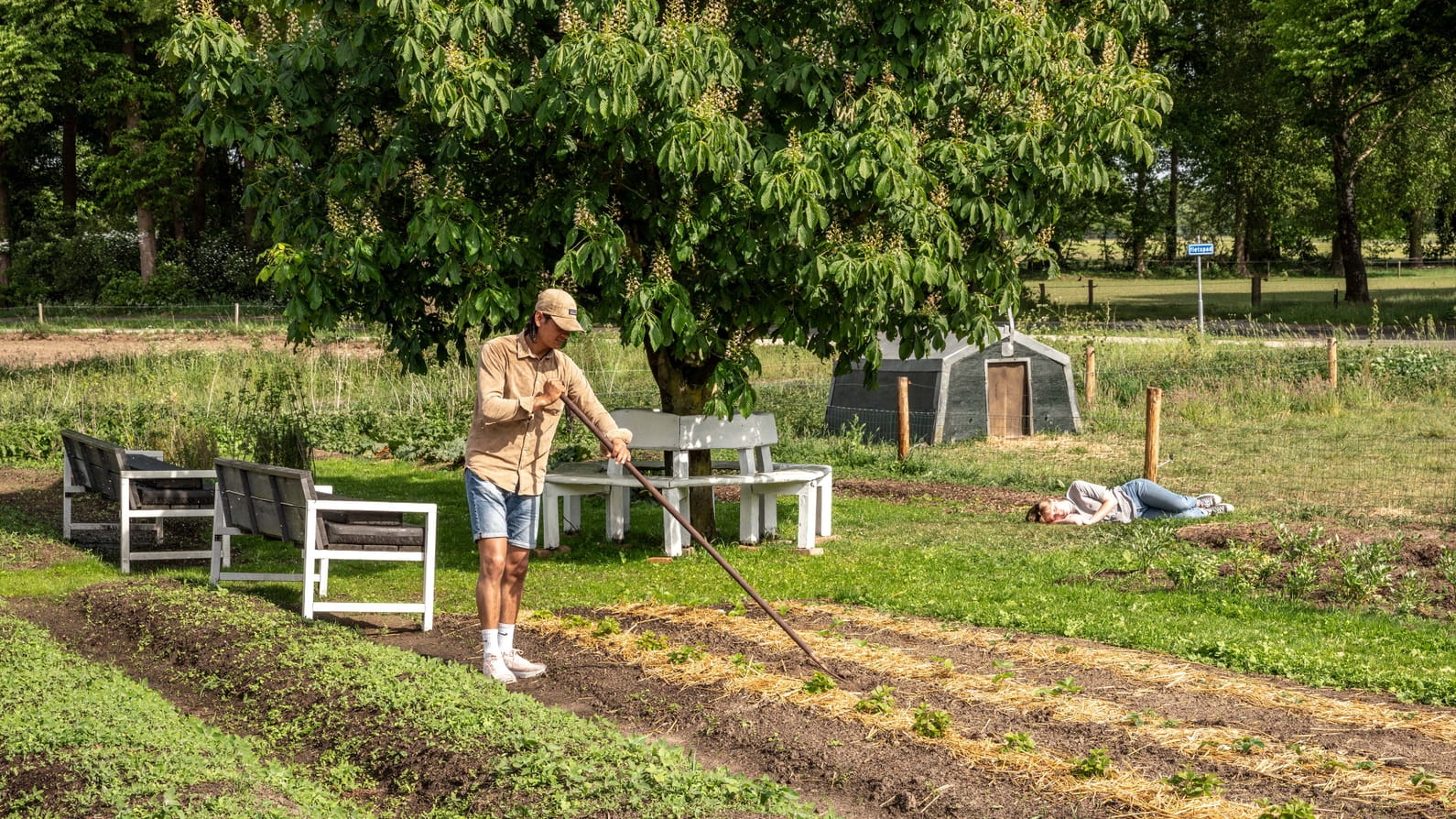 Het kán: de stikstofcrisis oplossen en de landbouw perspectief geven