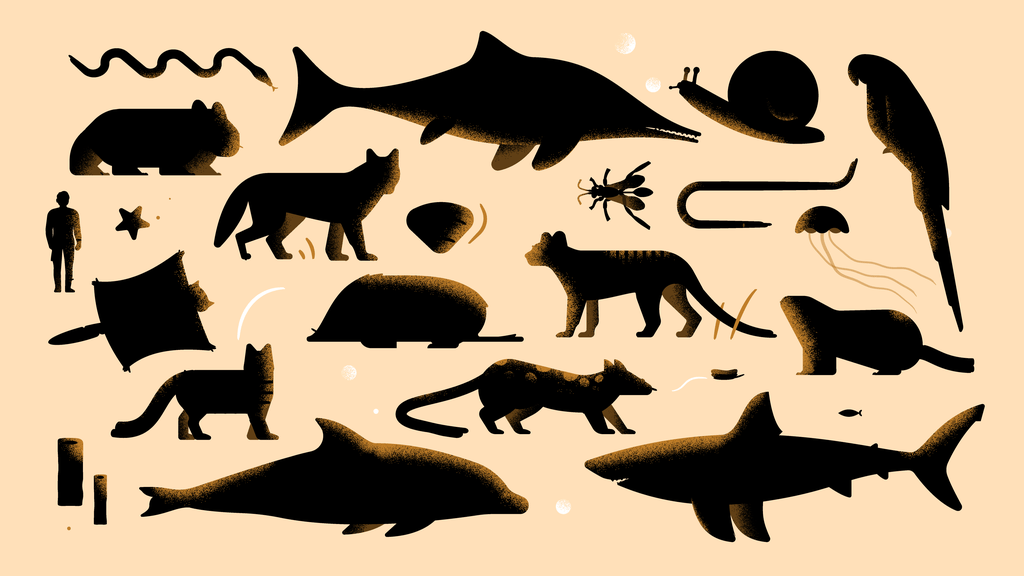 silhouetten van dieren 