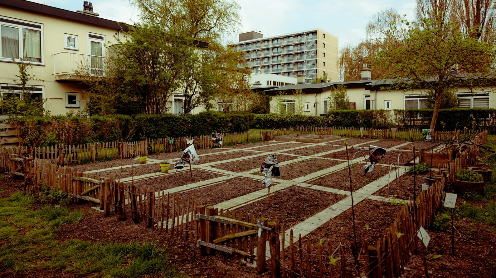 Arm of rijk: iedereen doet domme dingen