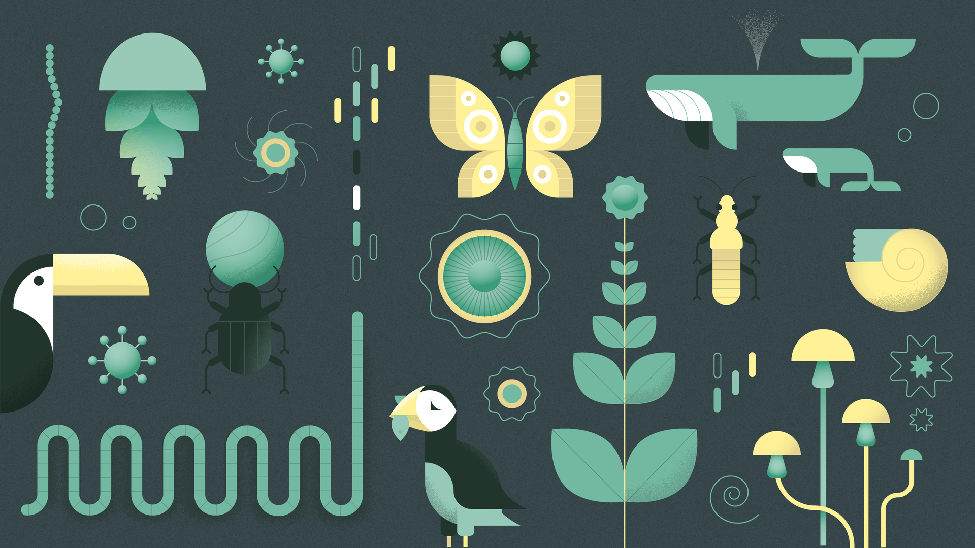Illustratie van verschillende levenssoorten. Planten, vogels, insecten en zeedieren.